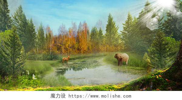 绿色梦幻清新森林动物图书插画展板背景春天梦幻森林